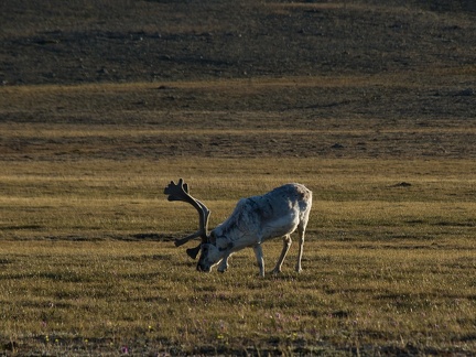 E WallPaper 1920x1200-10