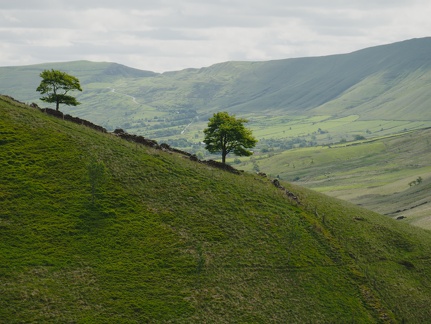 2019-06-18 - DC-GX9 - P1013203