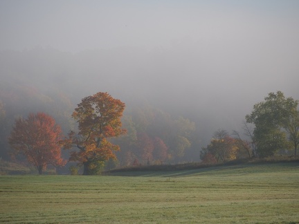 2021-10-07 - EL - Meech Valley Autumn Fog - DC-G9 - P1064666